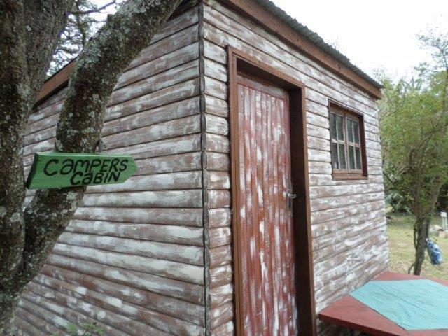 Yellowwood Forest Eco Retreat Morgans Bay Eksteriør billede