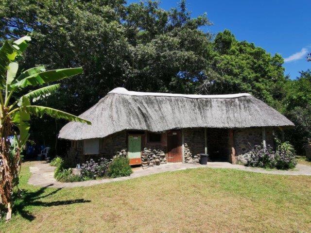 Yellowwood Forest Eco Retreat Morgans Bay Eksteriør billede