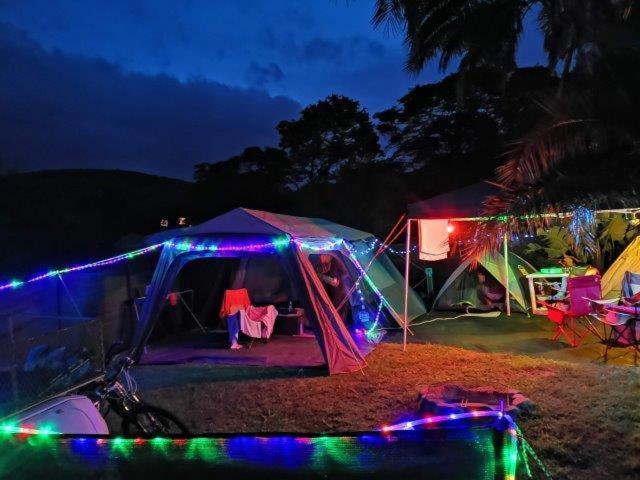 Yellowwood Forest Eco Retreat Morgans Bay Eksteriør billede