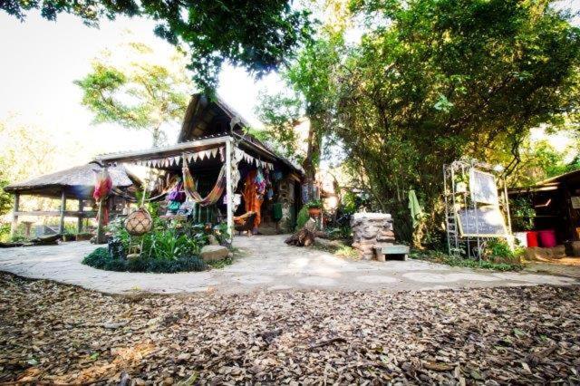 Yellowwood Forest Eco Retreat Morgans Bay Eksteriør billede