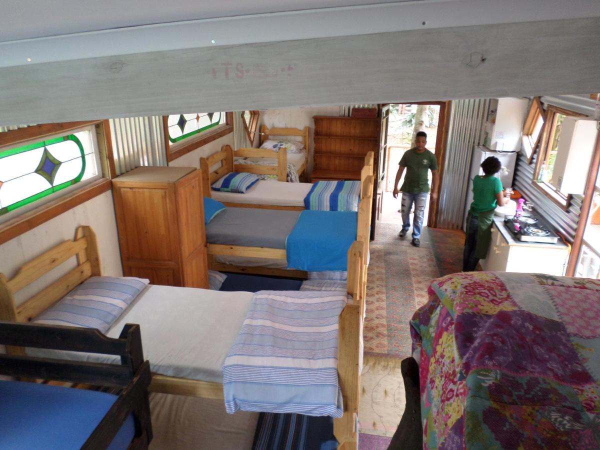 Yellowwood Forest Eco Retreat Morgans Bay Eksteriør billede