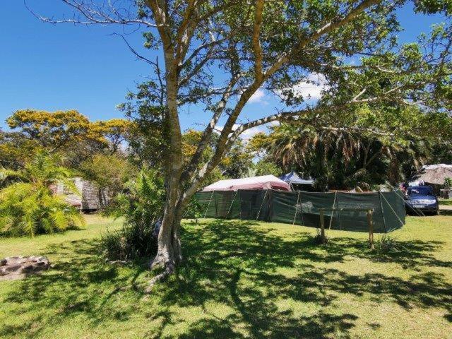 Yellowwood Forest Eco Retreat Morgans Bay Eksteriør billede
