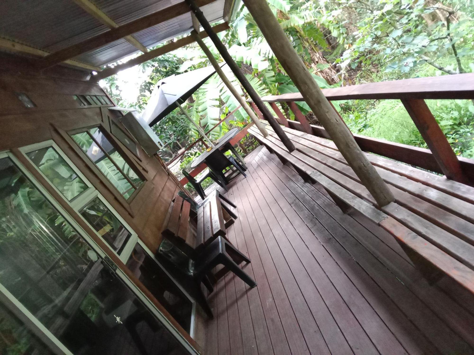 Yellowwood Forest Eco Retreat Morgans Bay Eksteriør billede