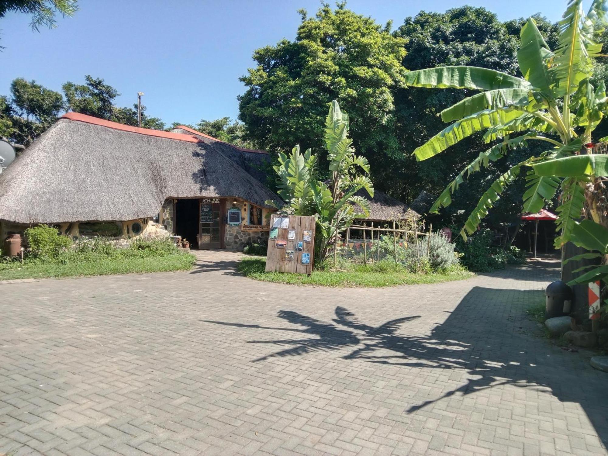 Yellowwood Forest Eco Retreat Morgans Bay Eksteriør billede